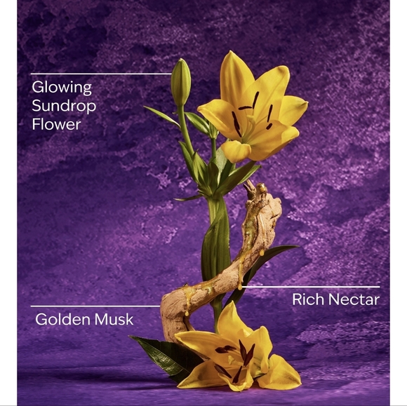 👑👗🤲NWT‼️ Bath & Body Works Disney Snow White Basket Holder with Sanitizers - Picture 6 of 16